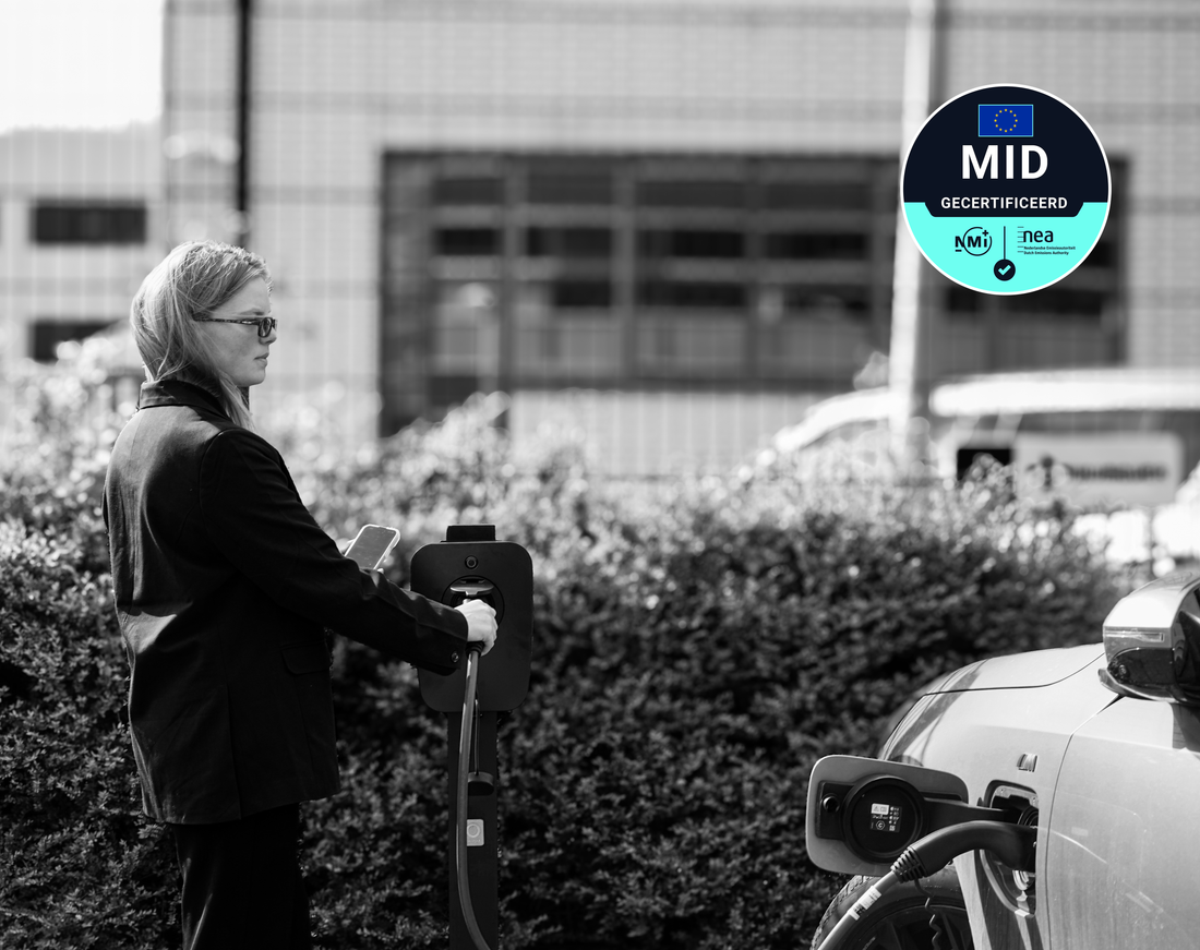 ERE certificates for electric vehicles: How to earn money with a home charger
