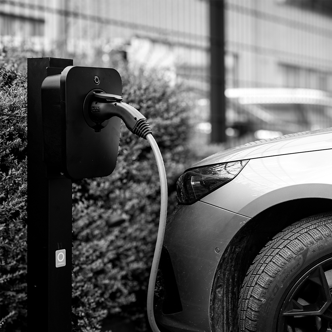 Freestanding Pole Mount for Bluebird Charger