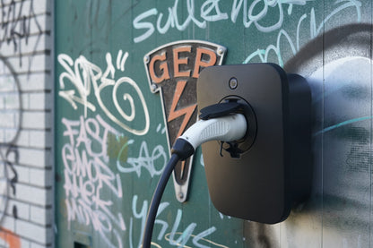 BlueSky Socket Home Charger - BlueBird Power Store